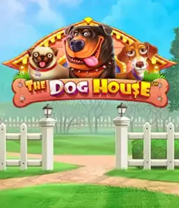 Experience Pragmatic Play's The Dog House adventure, bringing you a fun-filled adventure through playful pups. Engage in gameplay elements such as sticky wilds, designed for providing entertaining gameplay. Ideal for pet lovers a cheerful atmosphere alongside lucrative rewards.